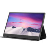 Portable Single Monitor Display 15.6 Inch built-in Speakers & Case